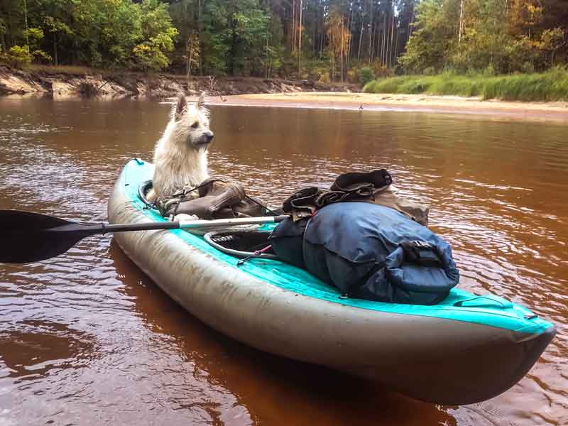 Kayak with A Big Dog